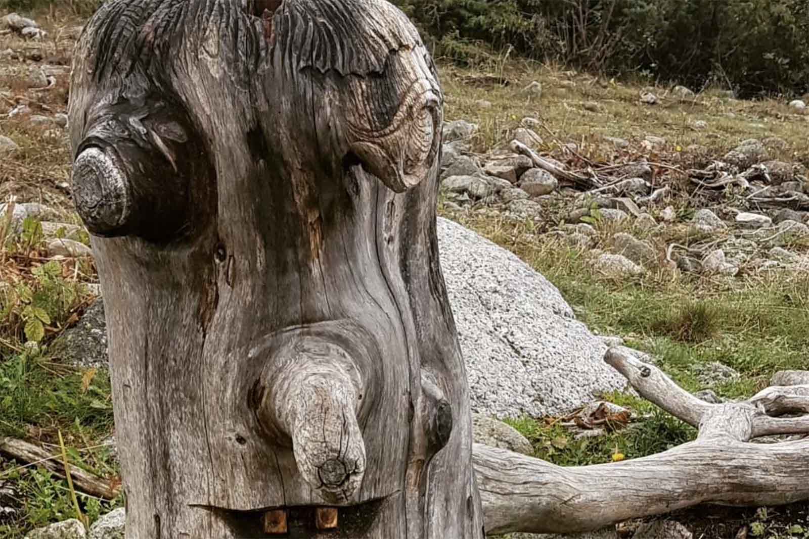 Troll-3-lugares-de-aventura.jpg
