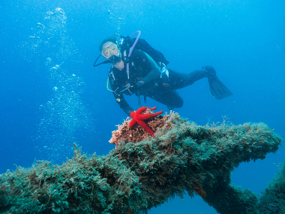 Buceo en Costa Dorada