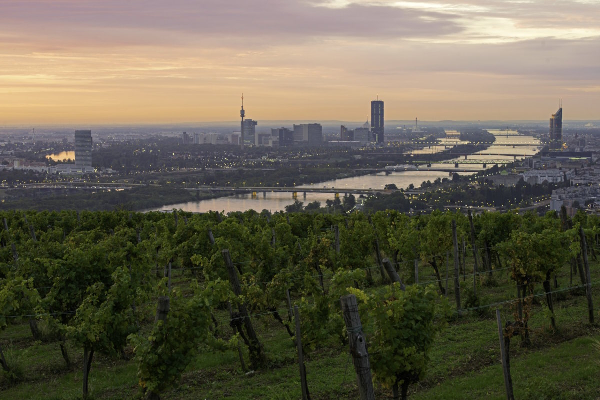 Vienna