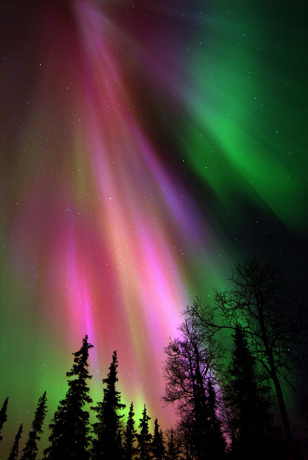 aurora-boreal-13-fotografia-visit-finland-lugares-de-aventura_0.jpg 