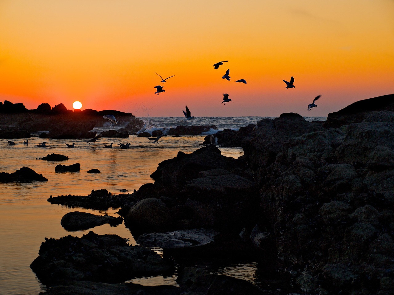 Baiona