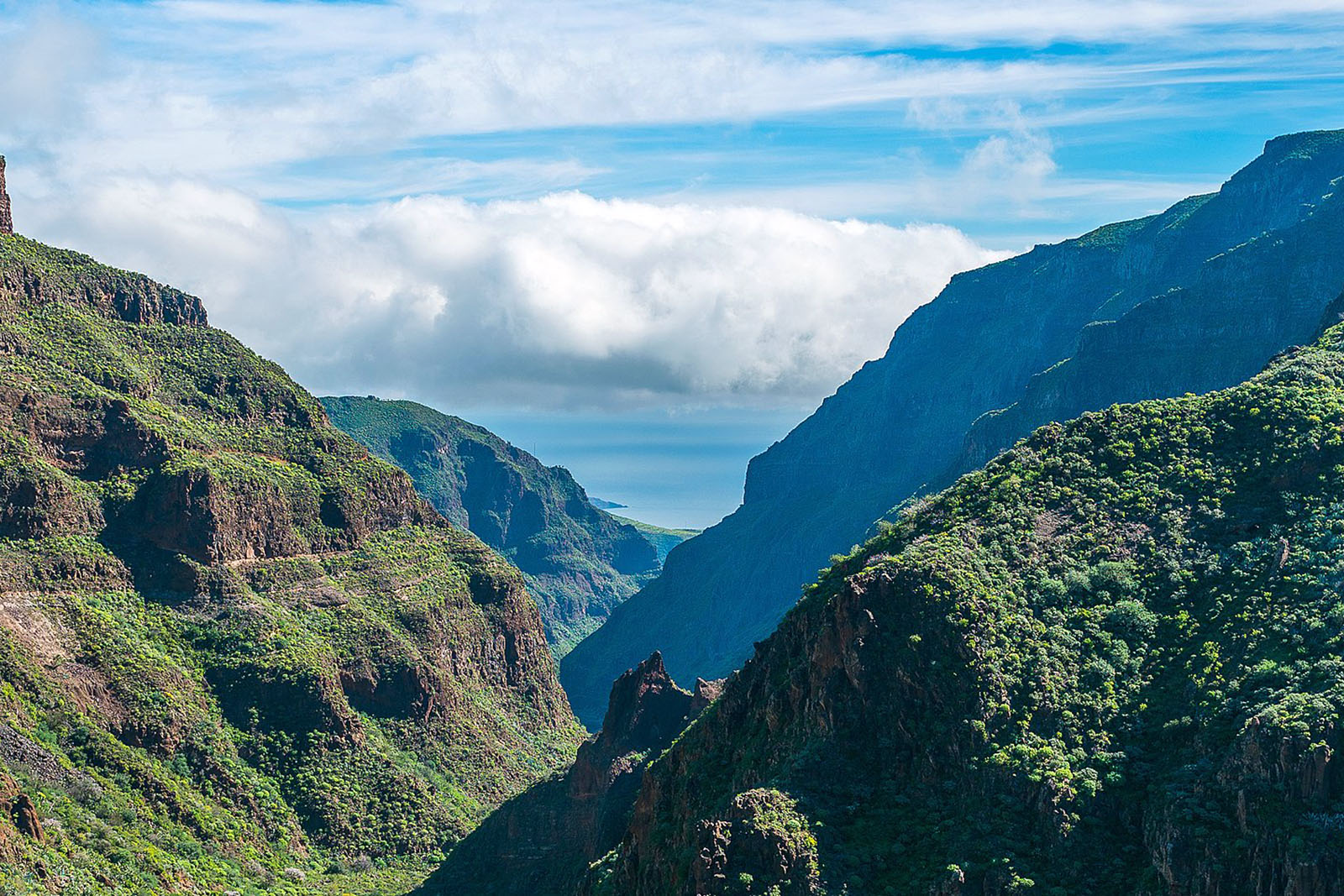 barranco-de-guayadeque-©-wiquipedia.jpg 