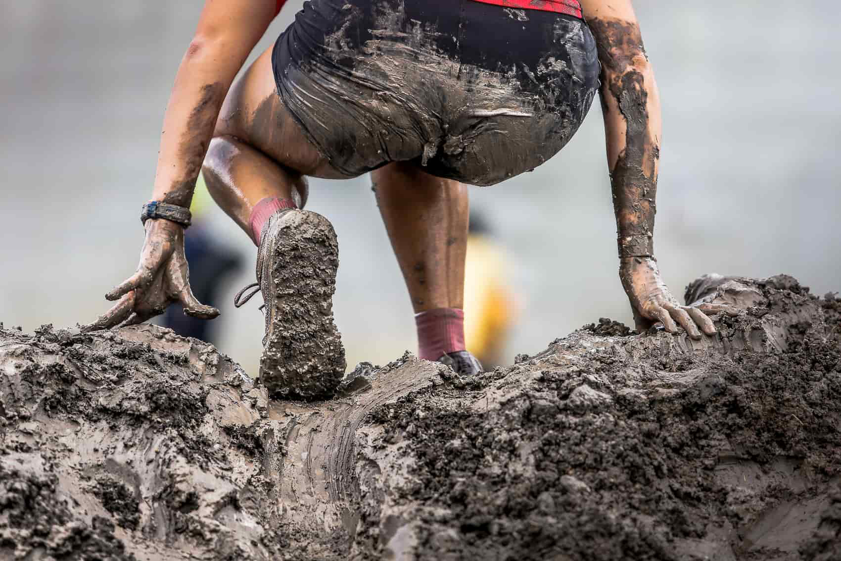 bestial-race-voluntarios3.jpg