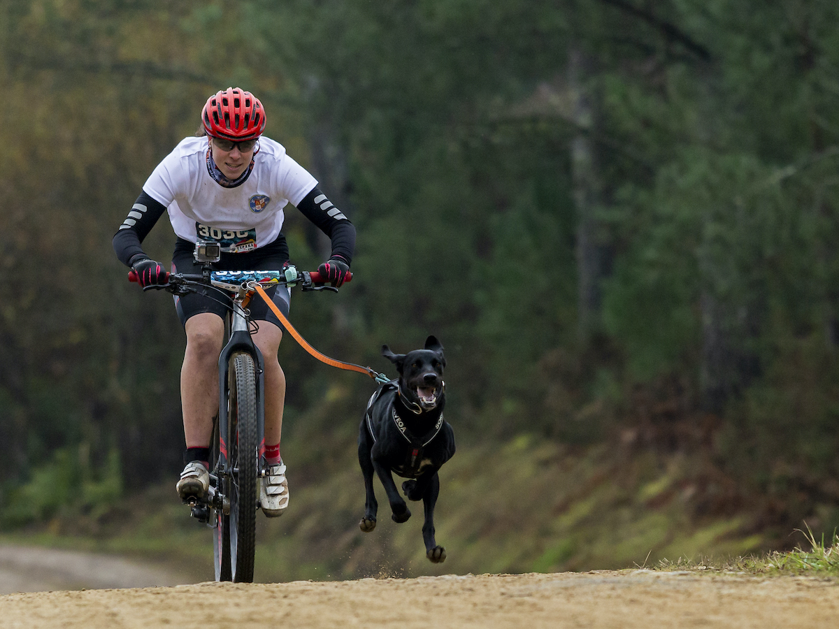 bikejaking