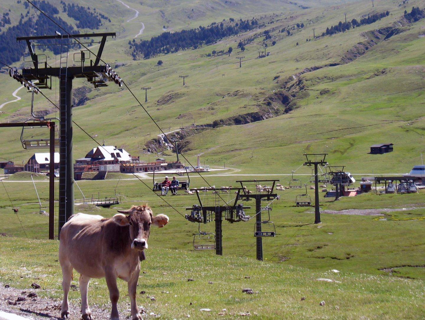 Telesilla Baqueira