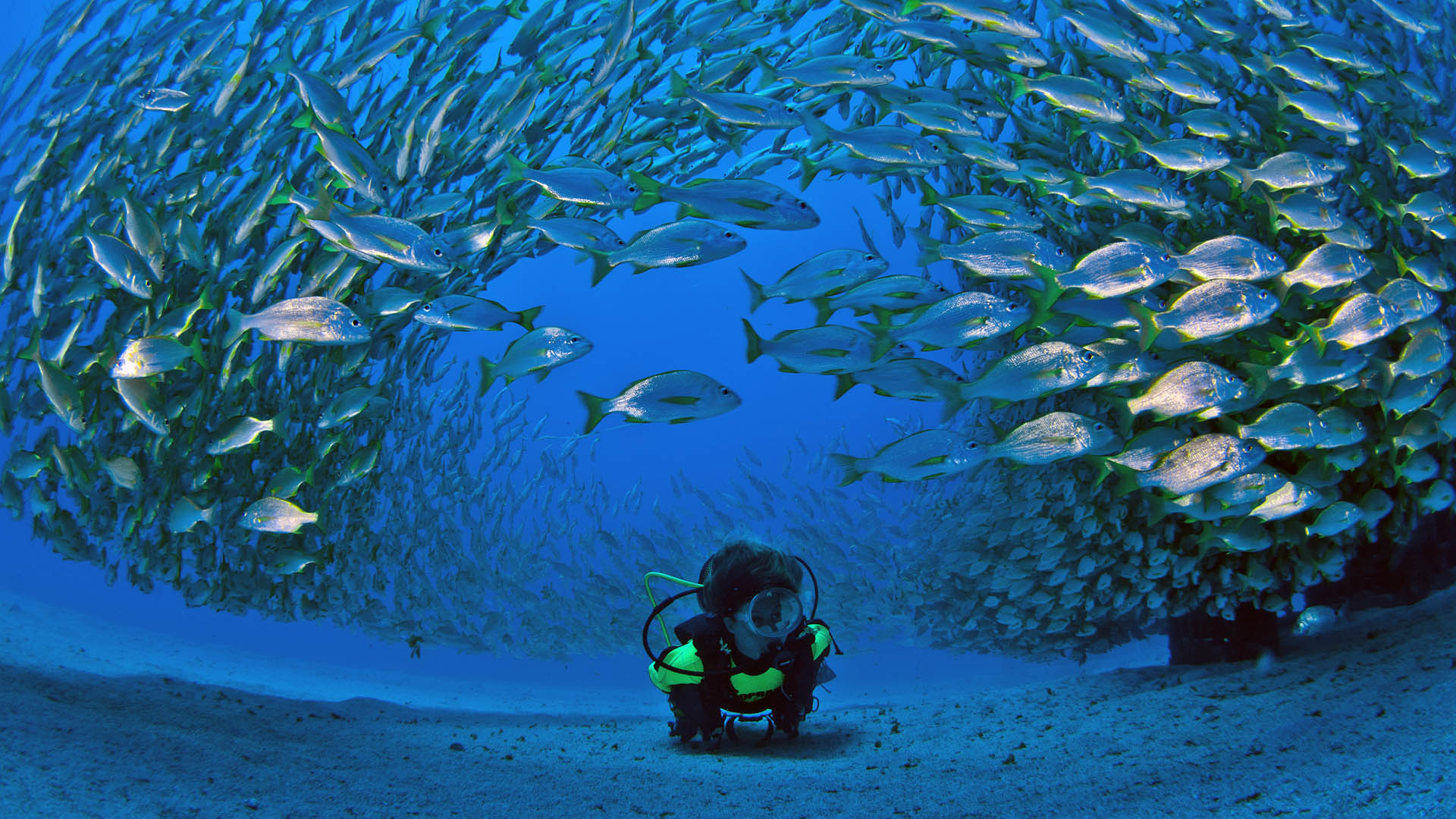 buceo-en-gran-canaria-fotografia-patronato-de-turismo-de-gran-canaria.jpg