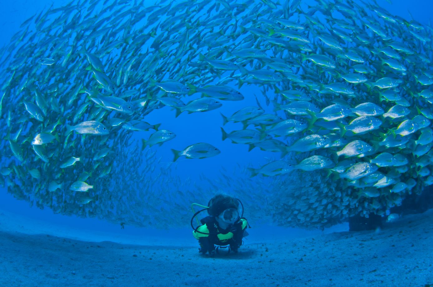 buceo-en-gran-canaria-fotografia-turismo-gran-canaria-lugares-de-aventura.jpg