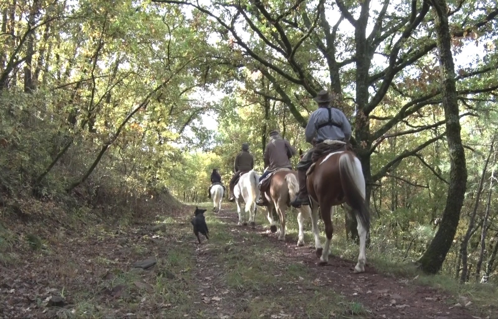 A caballo en Llavorsí