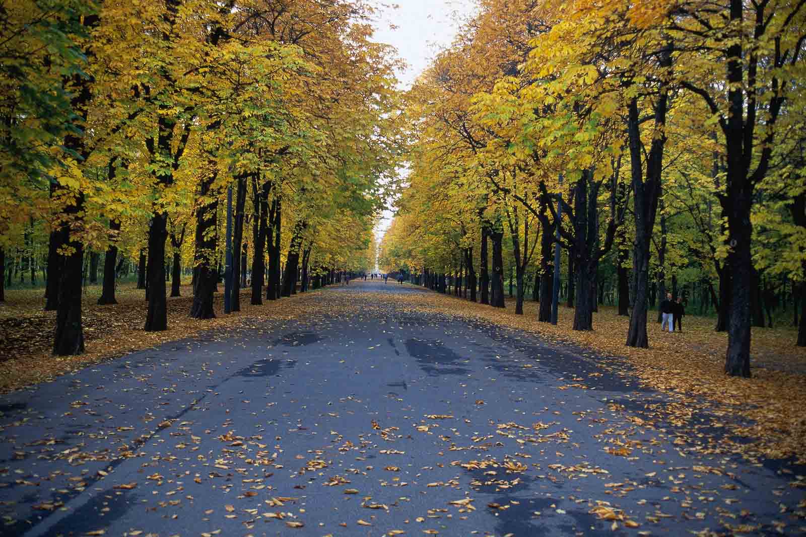 calle-principal-de-prater-en-otoño-©-Österreich-Werbung-photo-Diejun-lugares-de-aventura.jpg