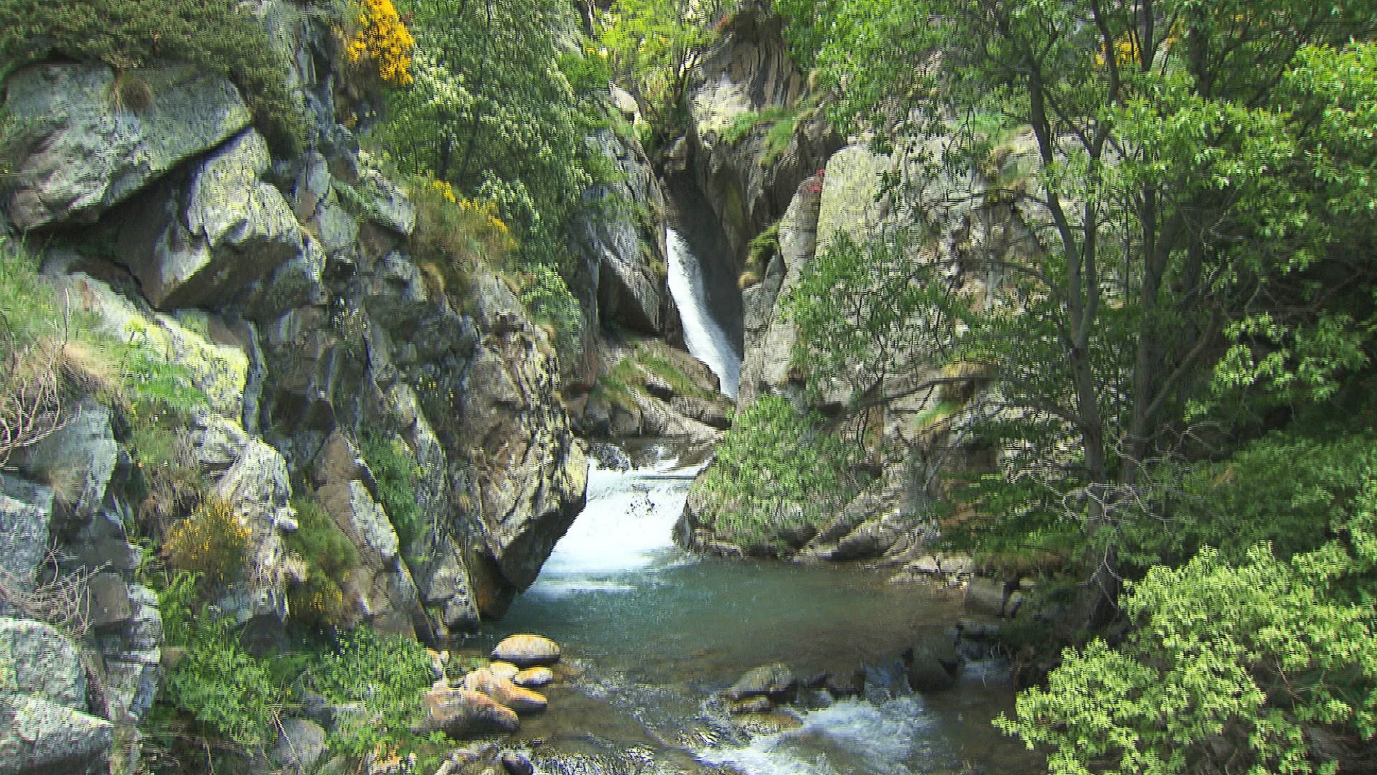 río en el Camí vell de Vall de Núria