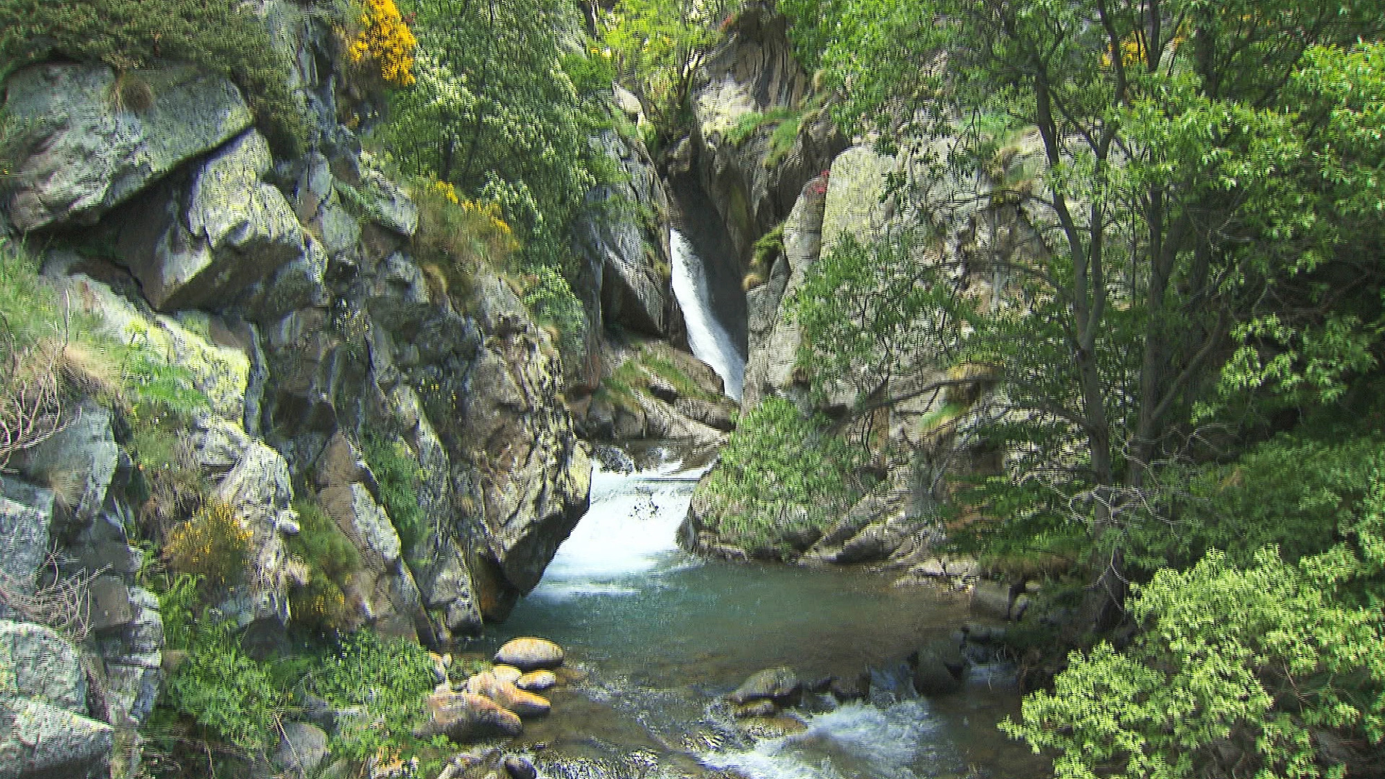 en el cami vell de Núria