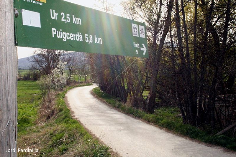 Camí de Sant Jaume. Autor Jordi Pardinilla