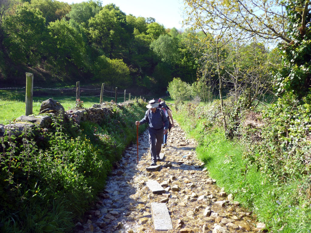 camino-de-santiago-1.jpg 