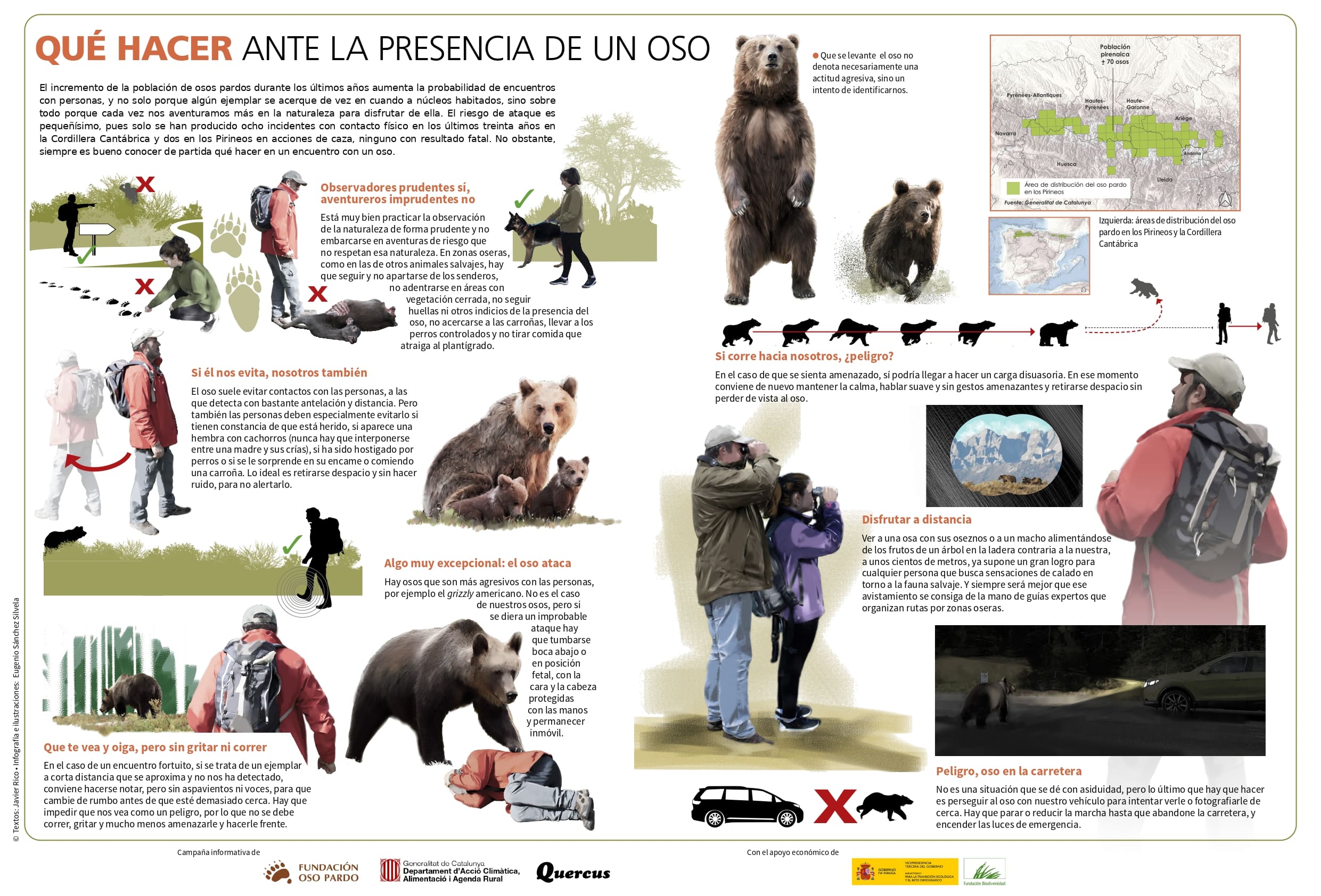Consejos osos