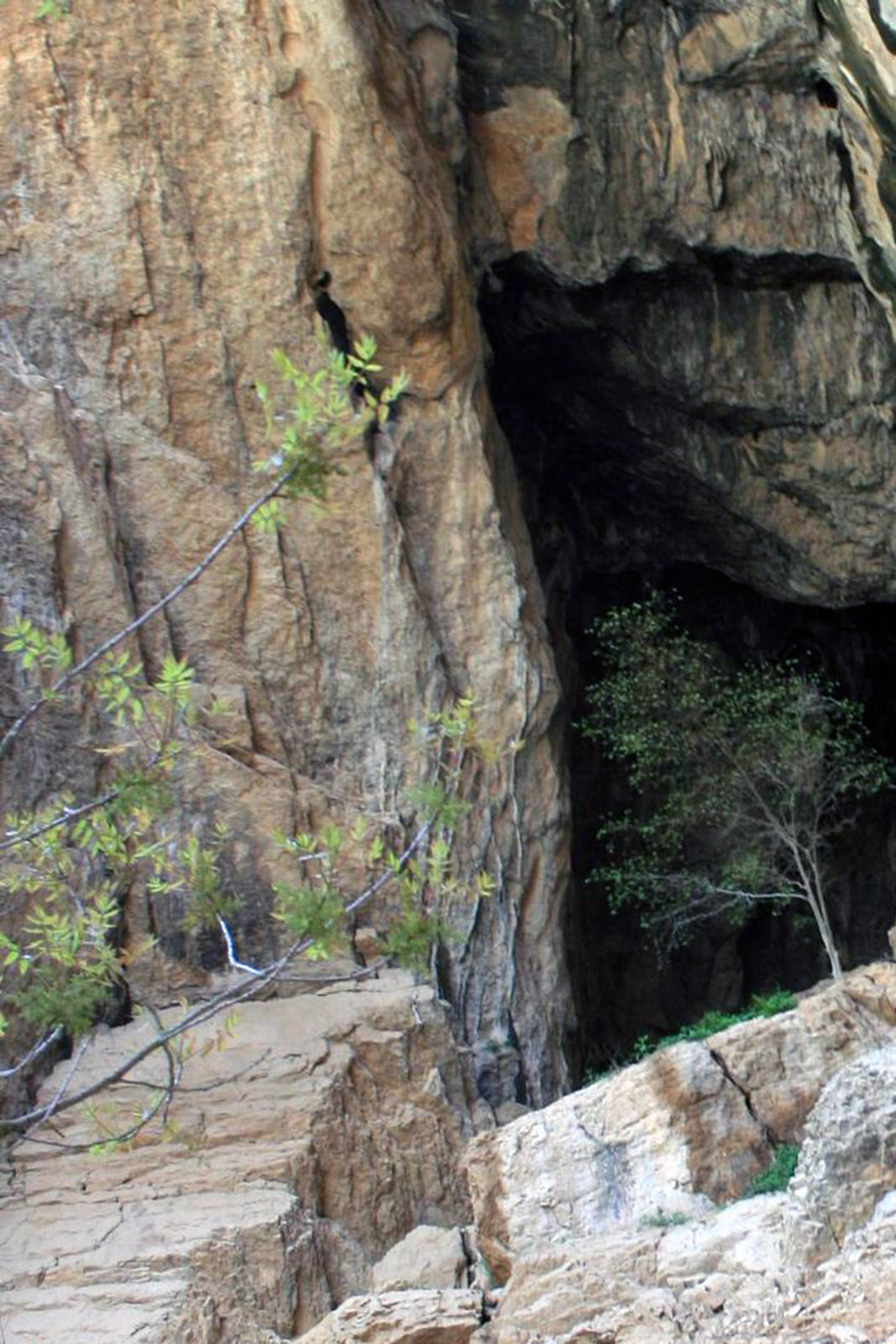 cova-colomera-mont-rebei.jpg