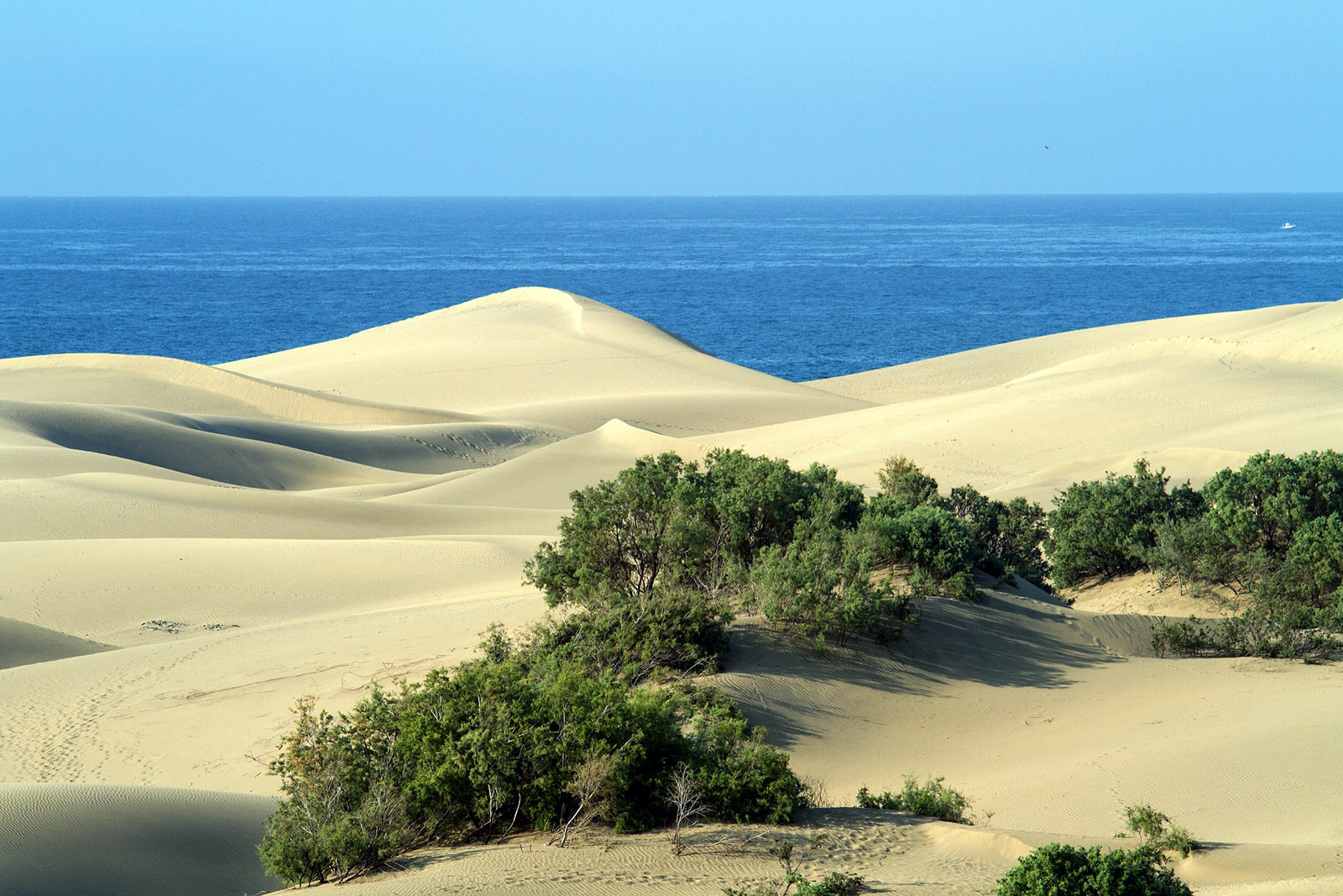 dunas-arena-mas-palomas-gran-canaria-fotografia-pixabay.jpg