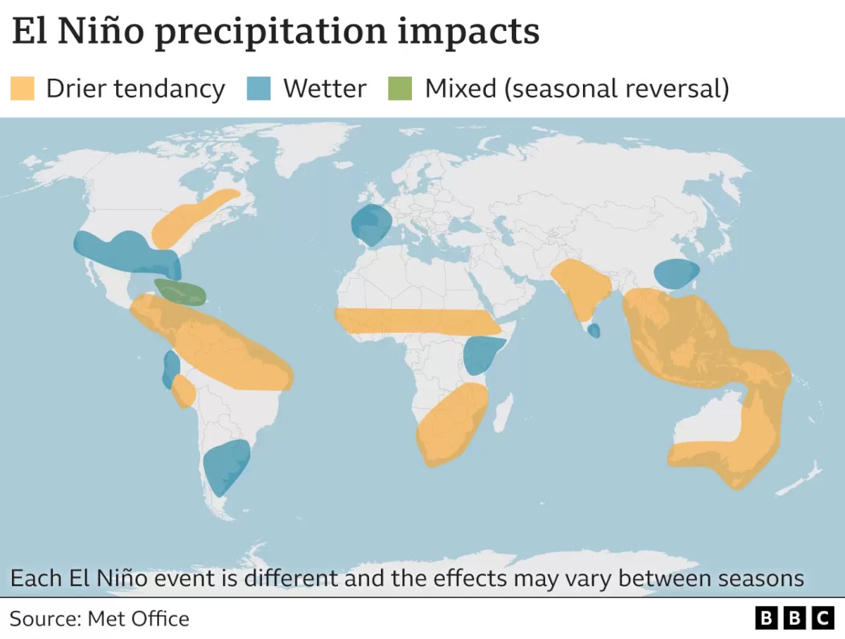 Impacto de El Niño en las precipitaciones globales.