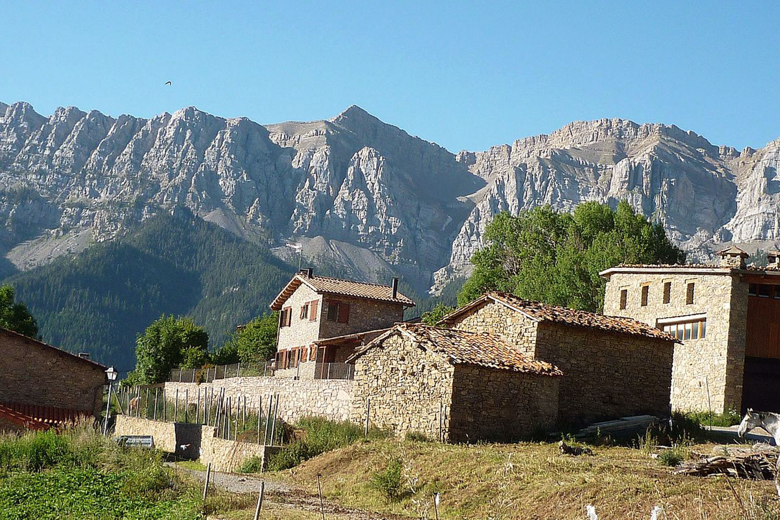 estana-serra-del-cadi-.jpg