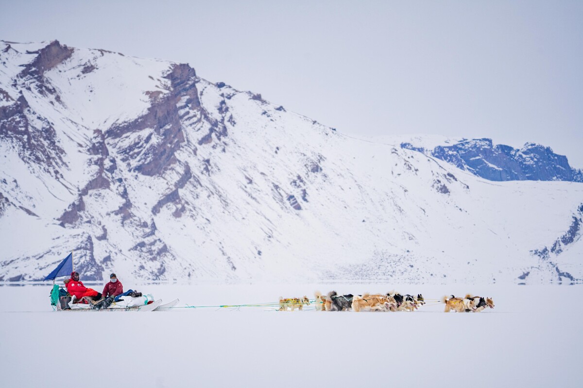 Desafío Ártico: Operación Perros del Hielo
