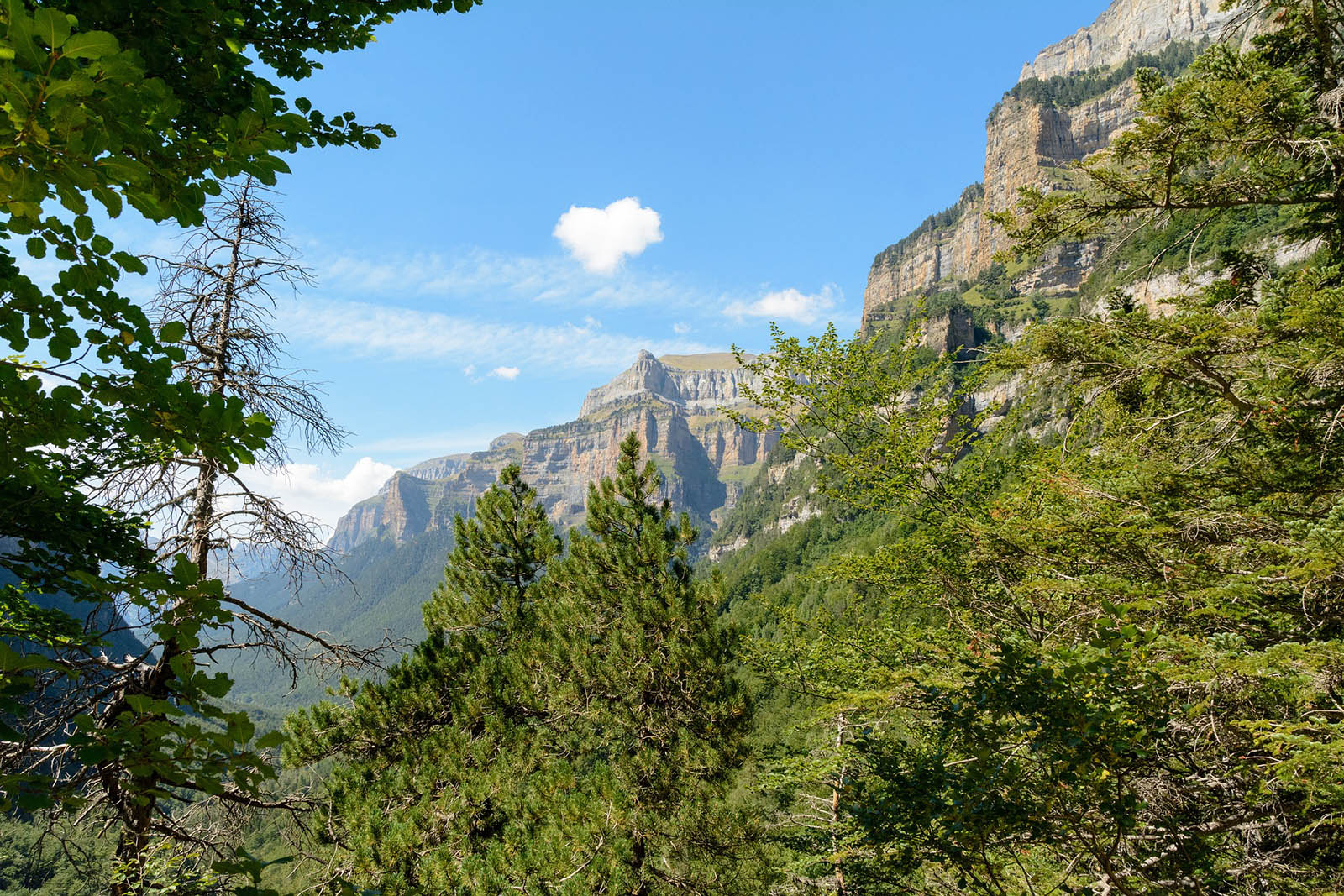 foto-14-reportaje-7-lugares-naturales-sorprendentes-que-te-esperan-en-España- valle-ordesa-huesca