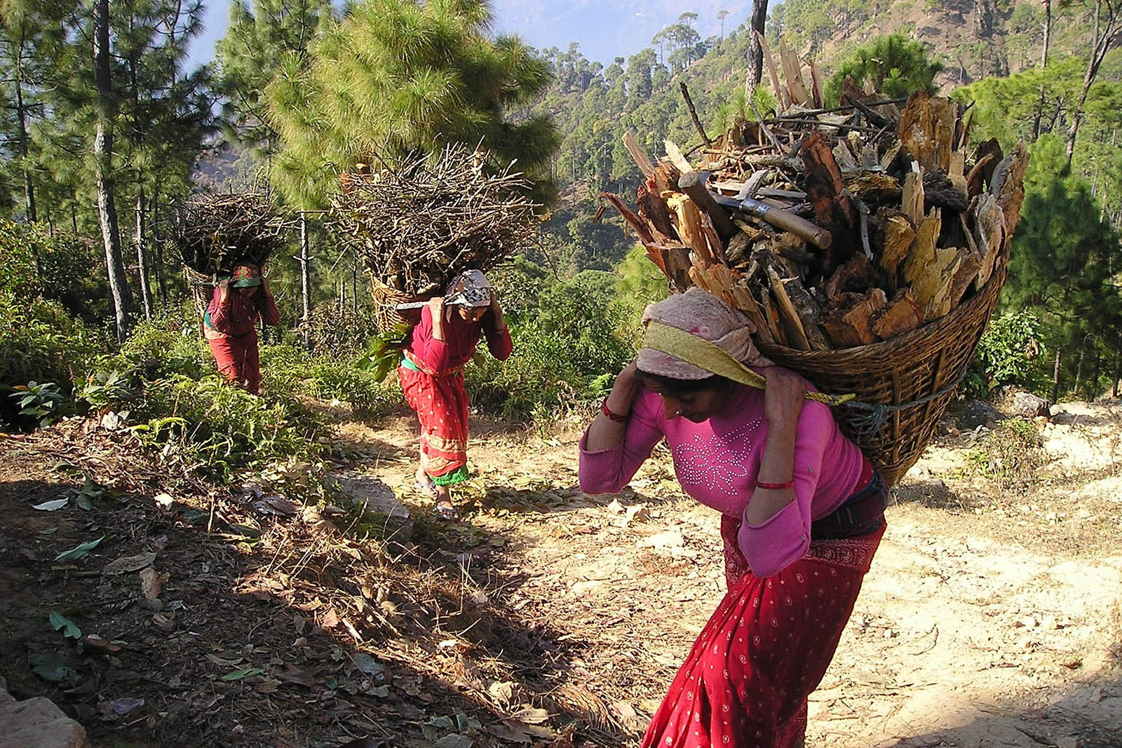 foto-3-los-sherpas-proponen-al-gobierno-nepalí-aprovechar-el-cierre-del-everest-para -limpiarlo-porteadoresjpg.jpg