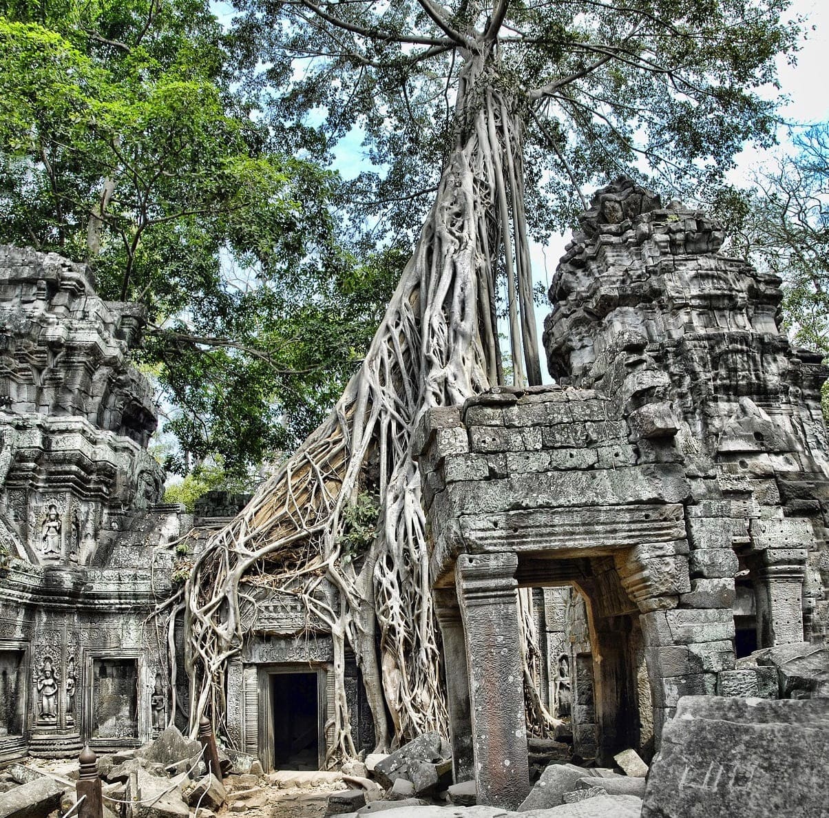 foto-3-ta-prohm-lugares-de-aventura