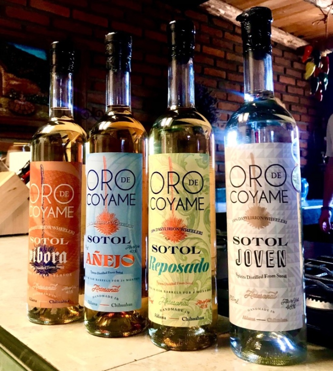 foto-3-variantes-sotol-lugares-de-aventura