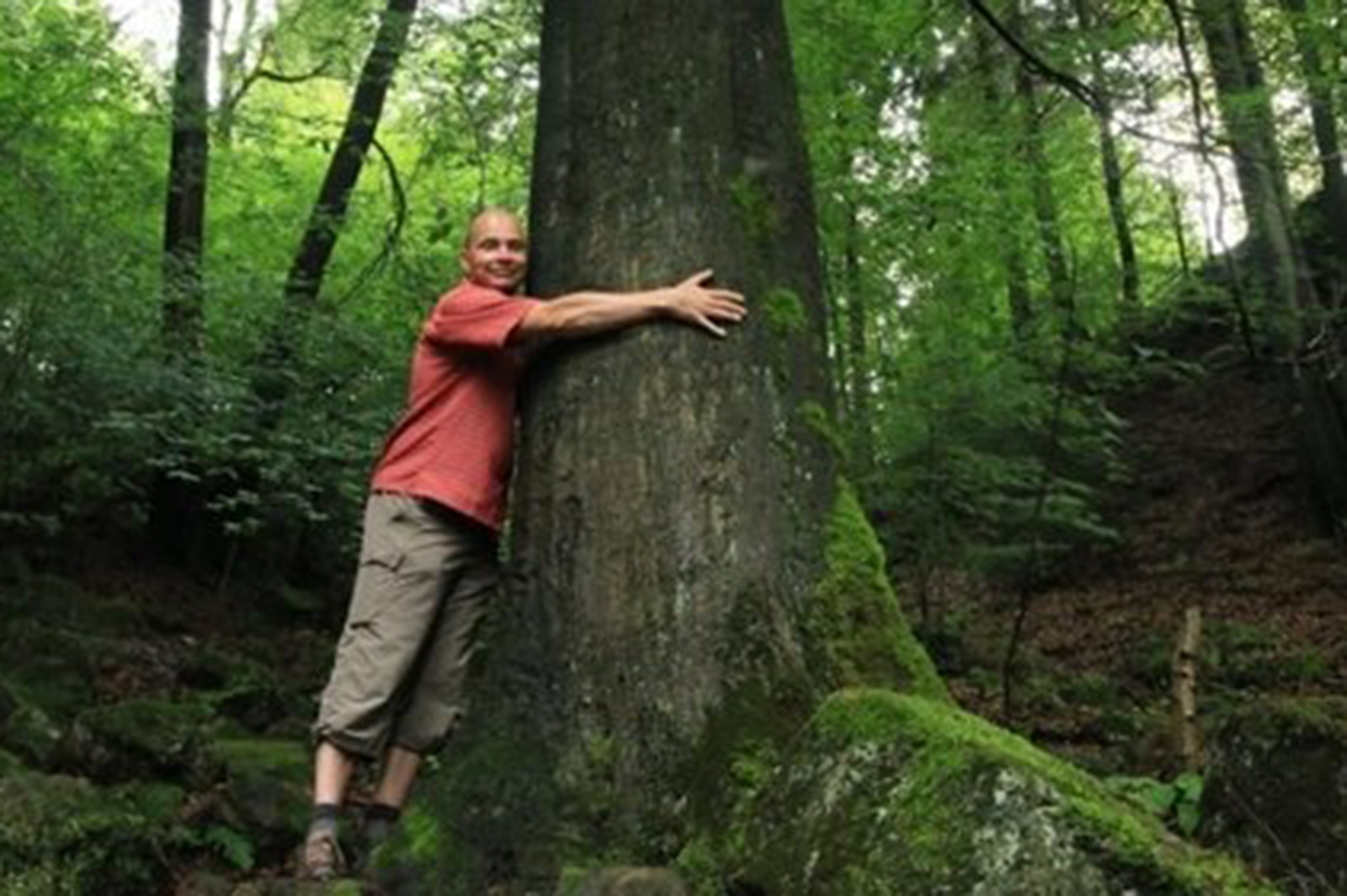 foto-abrazar-arboles-lugares-de-aventura-reportaje-hombre.jpg
