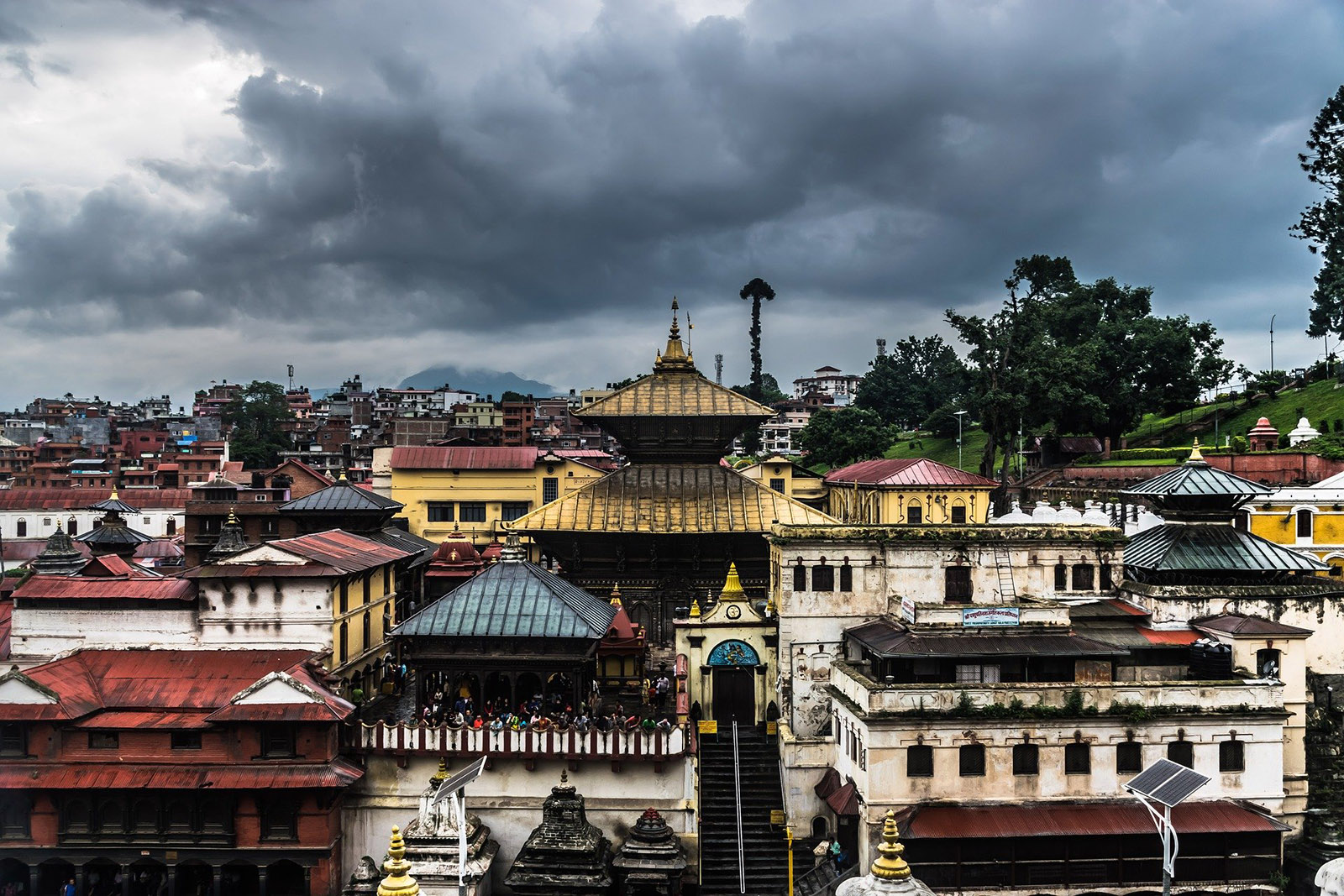 foto-reportaje-voluntarios-al-rescate-de-macacos-en-nepal-Pashupatinath.jpg