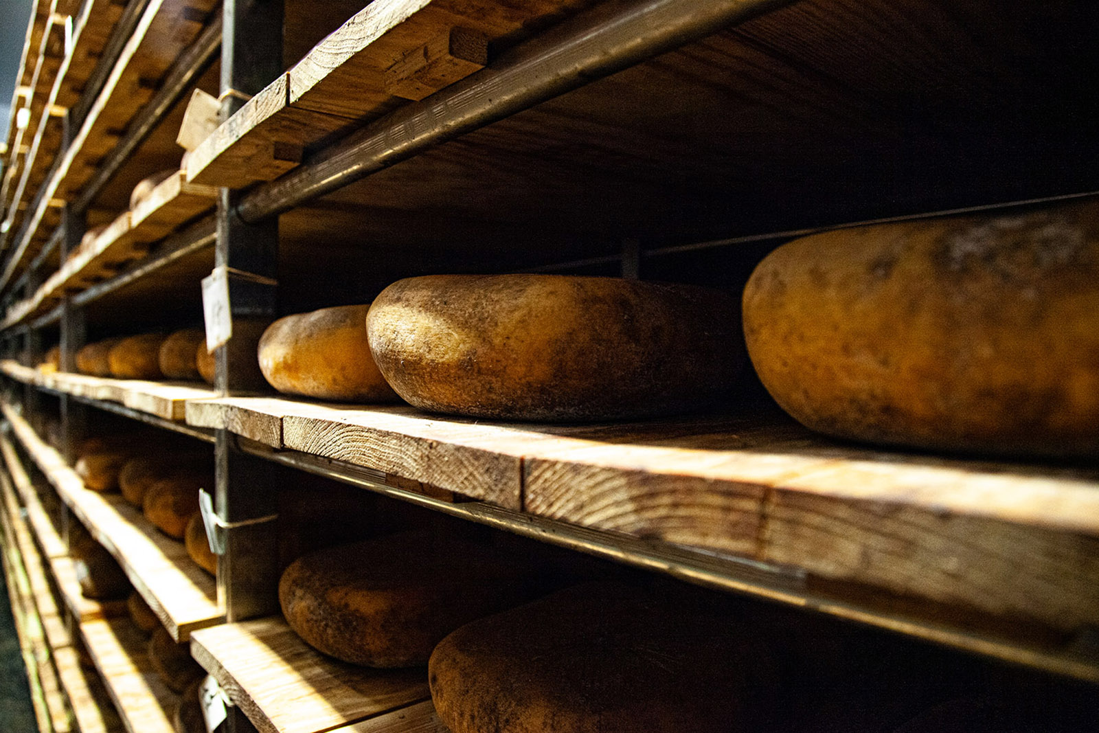 mage foto13-lugares de aventura-como descubrir los secretos mejor guardados y autenticos de menorca-cava de quesos-julia-miralles.jpg