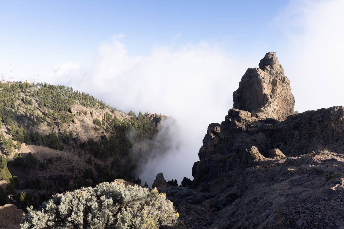 Pico de las Nieves. Fotografía: Júlia Miralles Larrègola