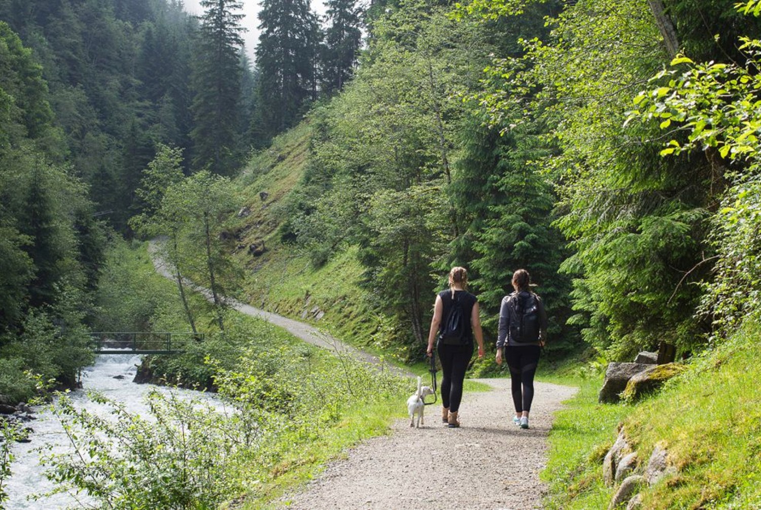 Wildkogel-Arena-Neukirchen-Bramberg