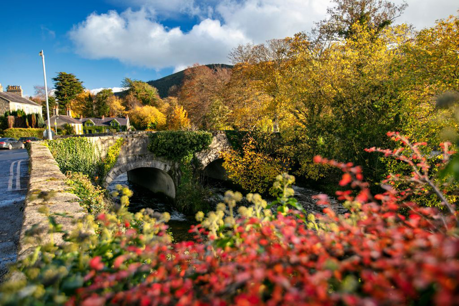 Idílica villa de Rostrevor.