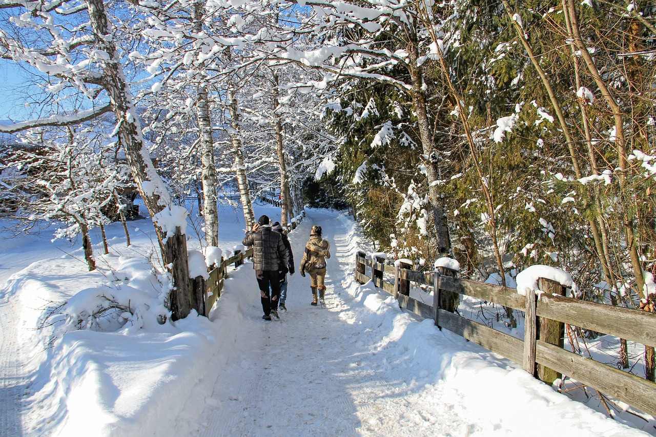 winter