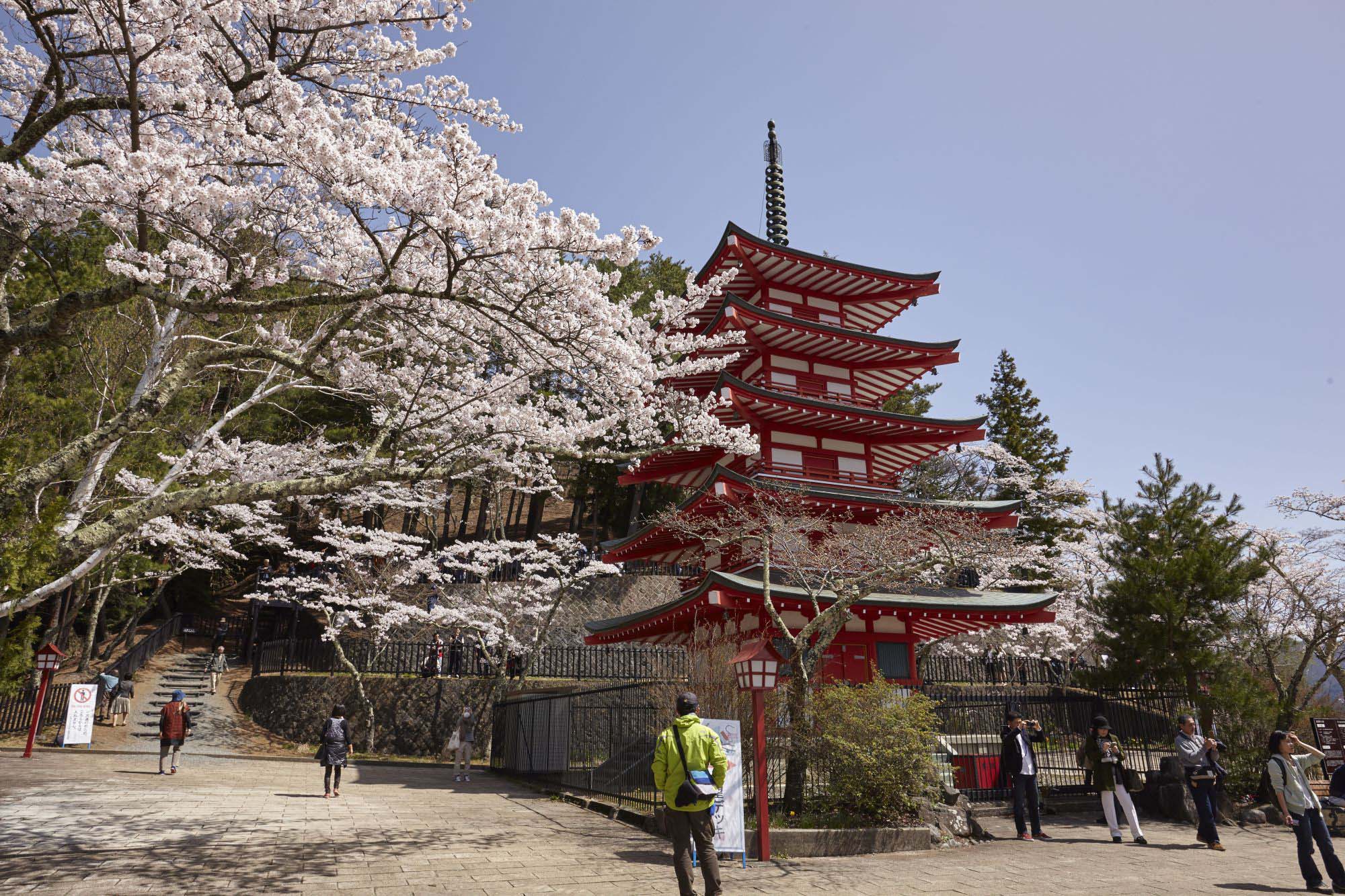 Yamanashi. Copyright: JNTO