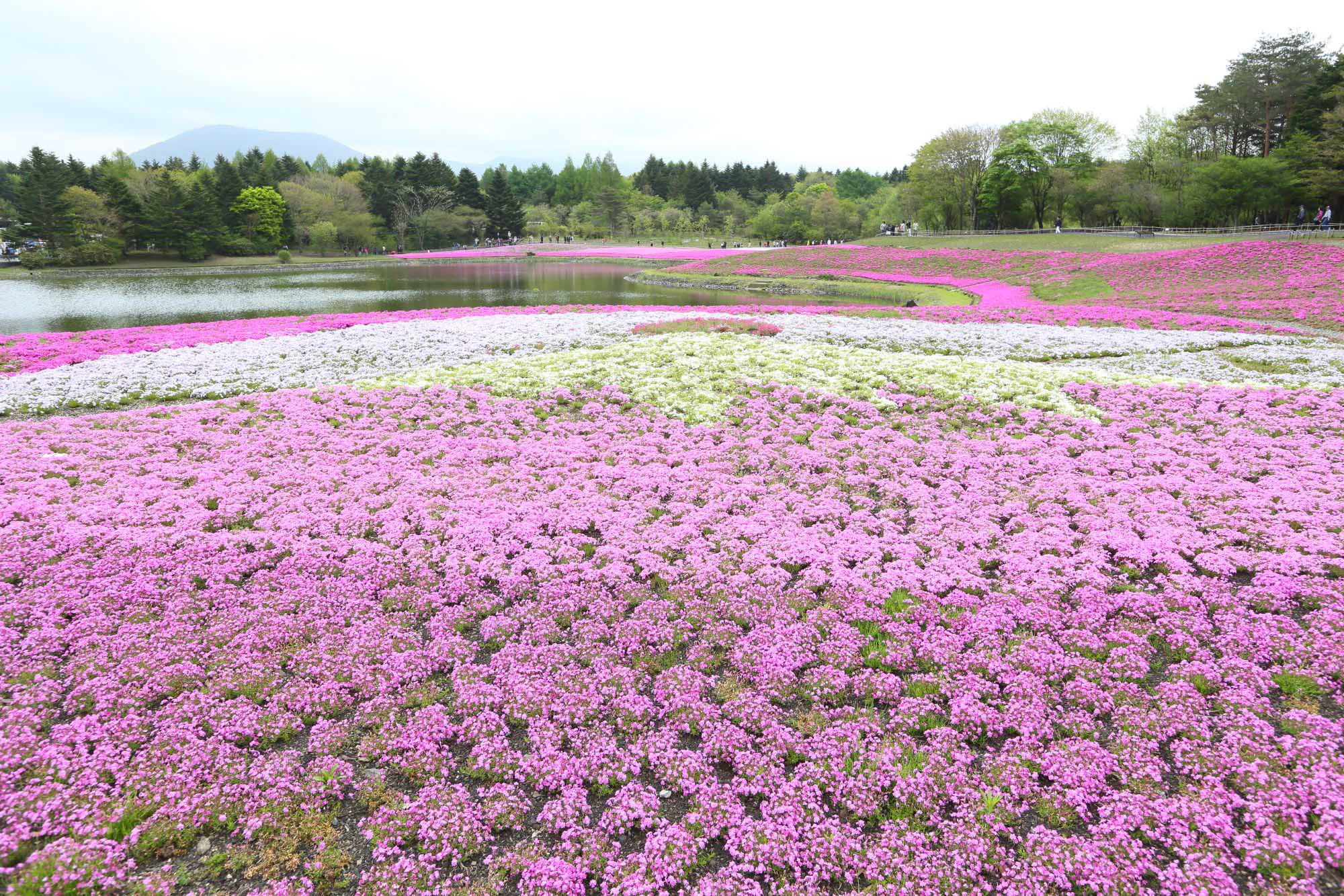 Yamamashi. Copyright: JNTO