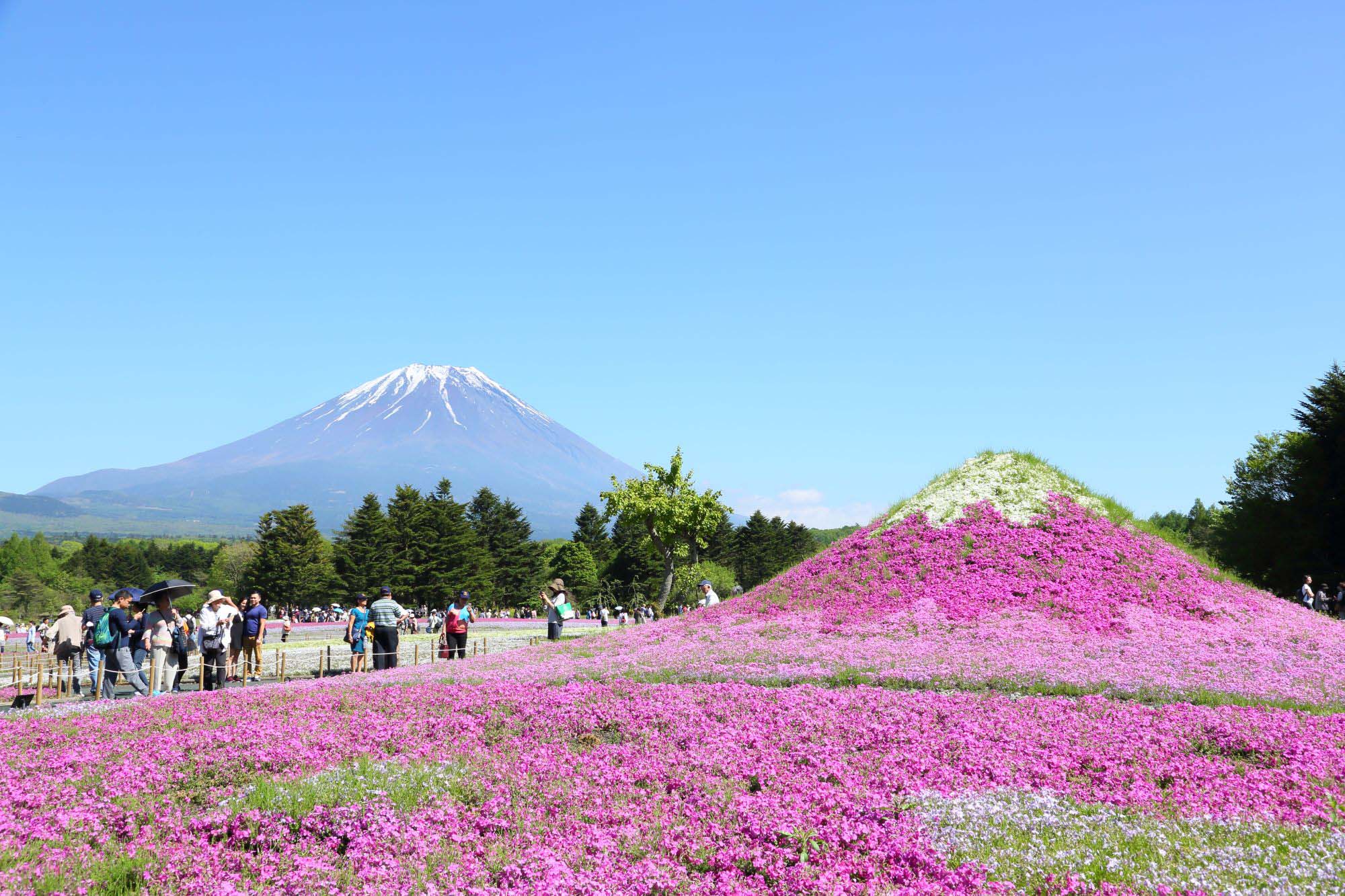Monte Fuji. Copyright: JNTO