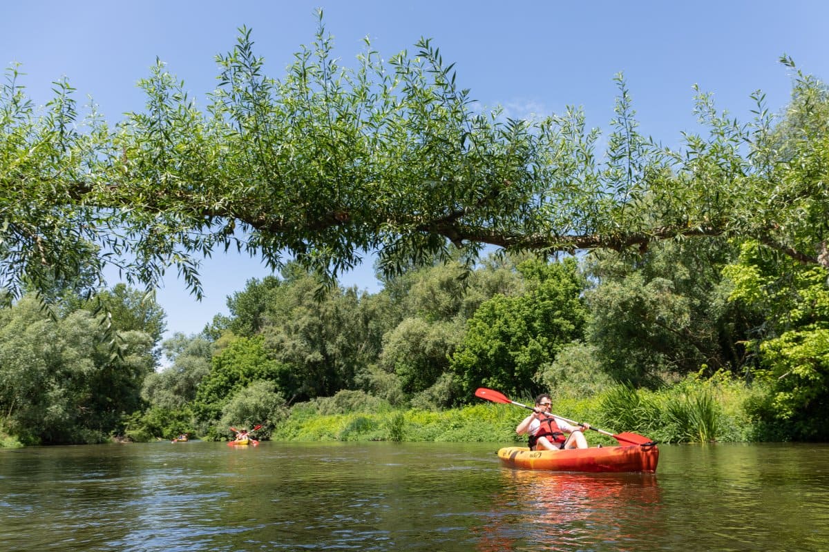 Kayak en el río Ter.