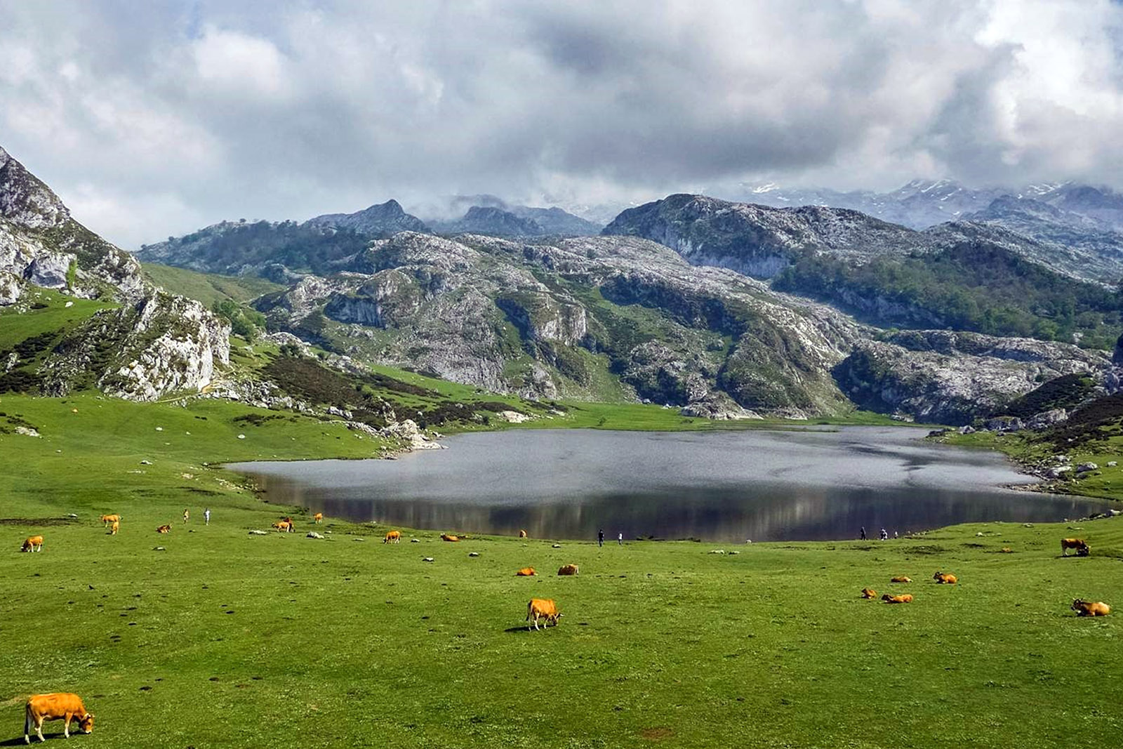 lago-ercina-©- turismo-asturias-turism-asturias-.jpg 