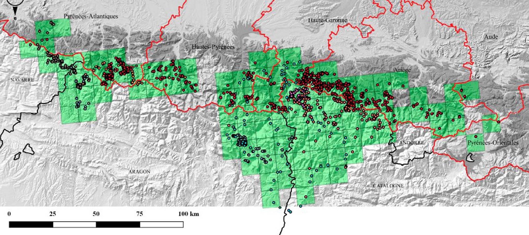 Área máxima de distribución del oso pardo en los Pirineos en 2019. Proyecto Piroslife