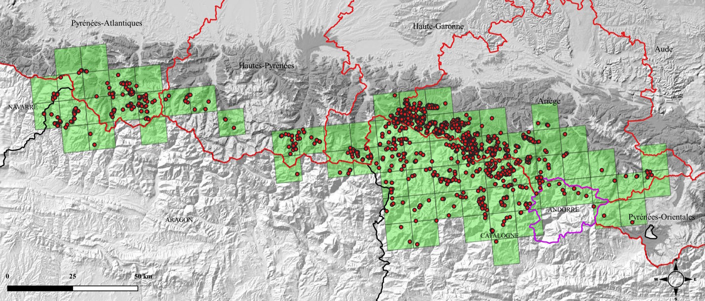 Mapas de osos Pirineo 2023