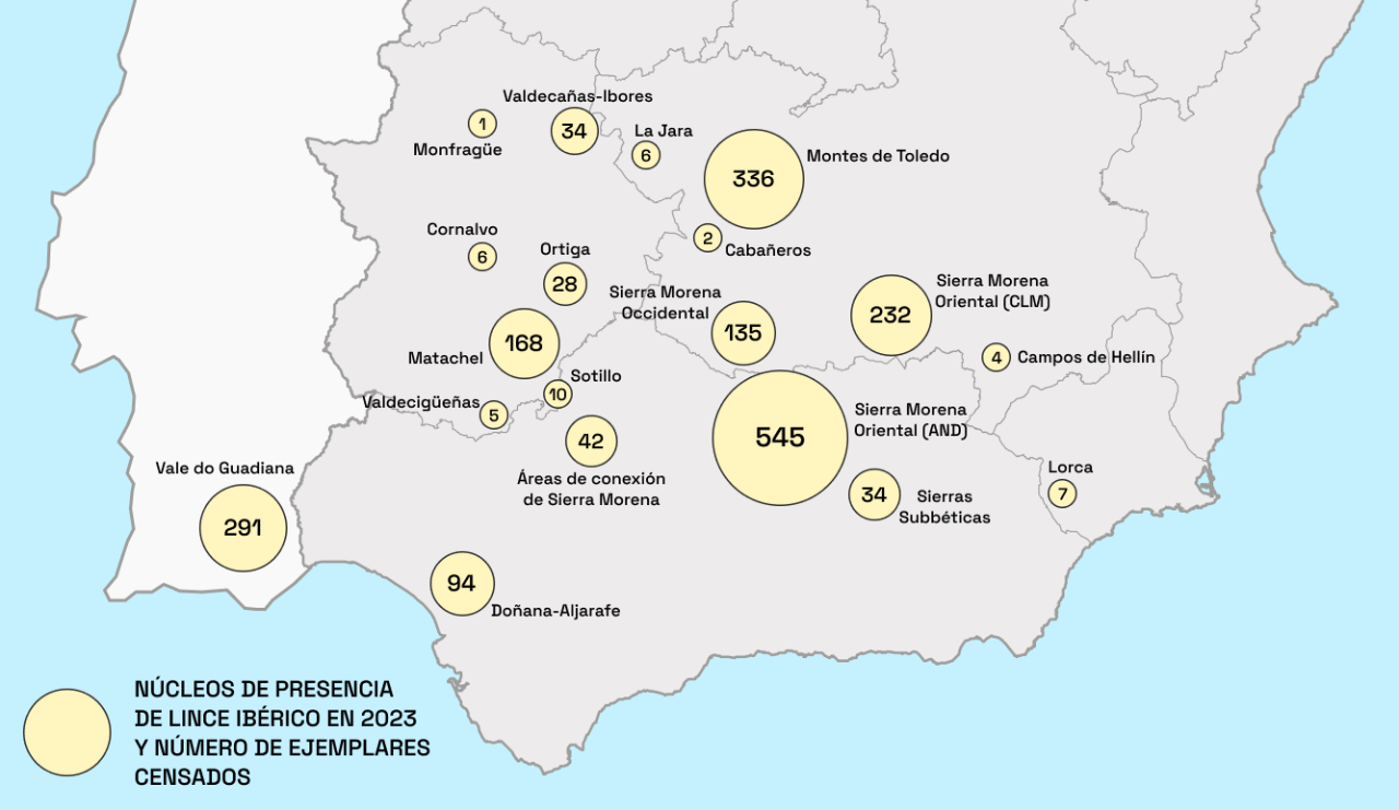 mapa de linces