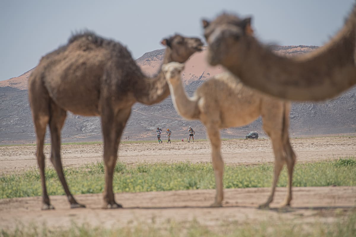 Marathon Des Sables