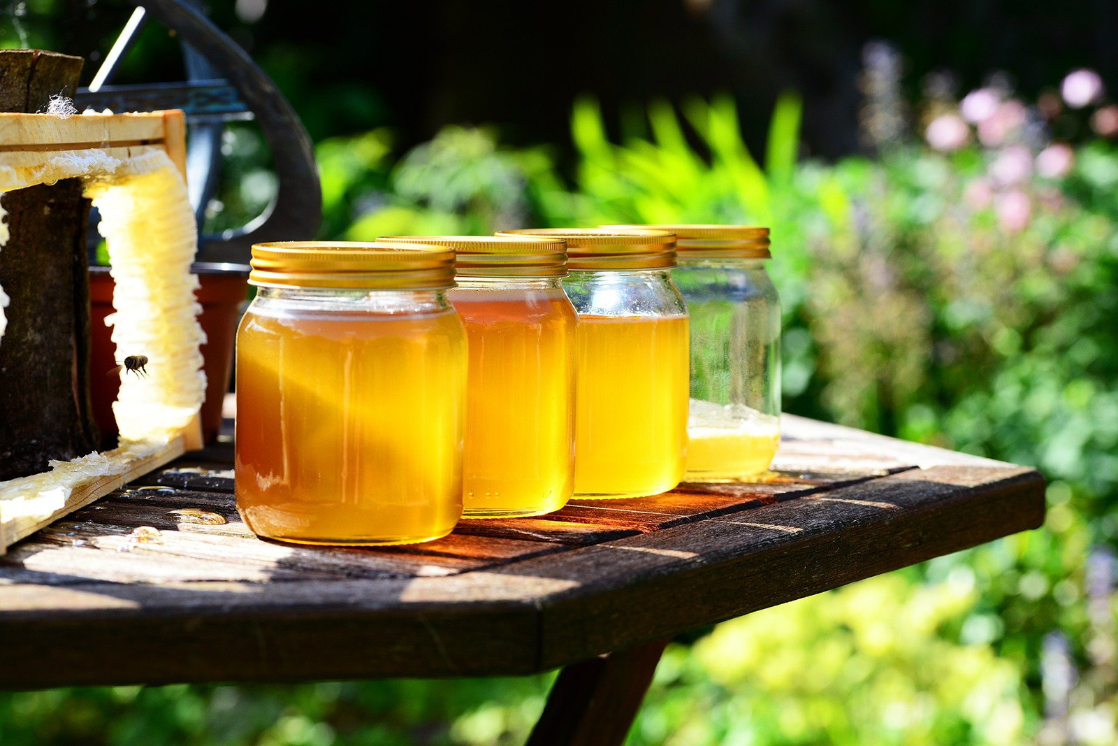 miel-pixabay.jpg