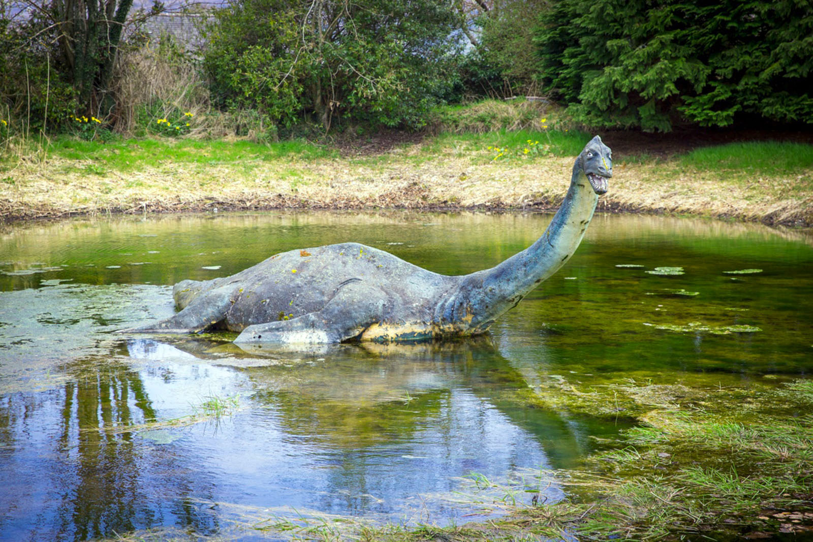 modelo-tamaño-real-nessie-el-monstruo-del-lago-ness-en-loch-ness-centre-&-exhibition-©-VisitScotland-autor-Kenny-Lam.jpg