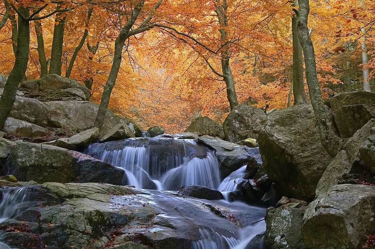 Parque natural del Montseny