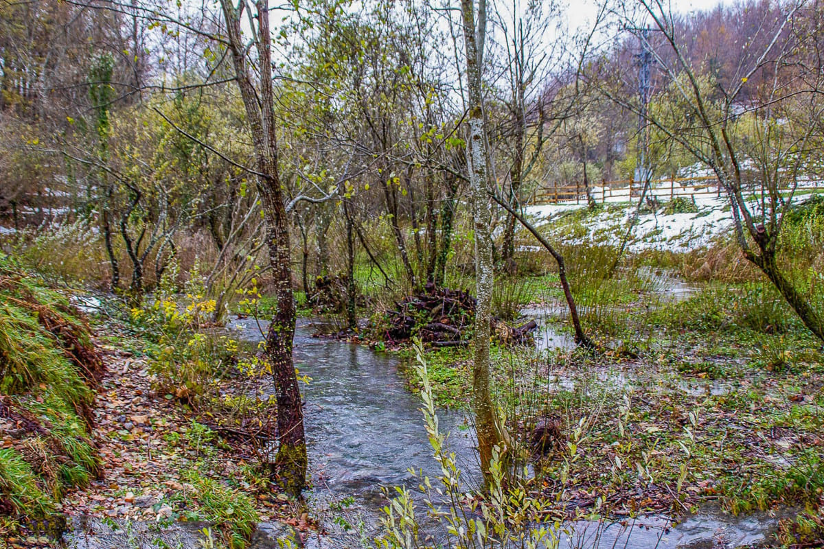 Nacimiento río Deva