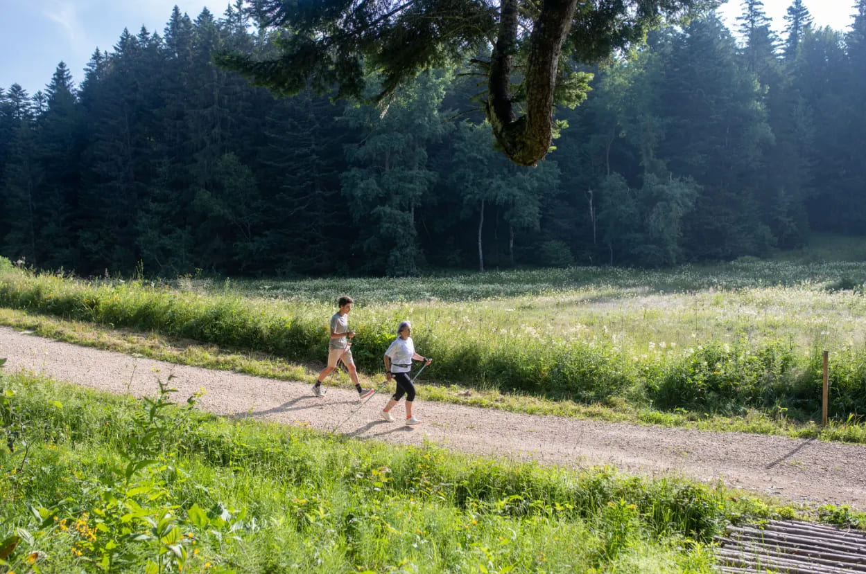 onpiste