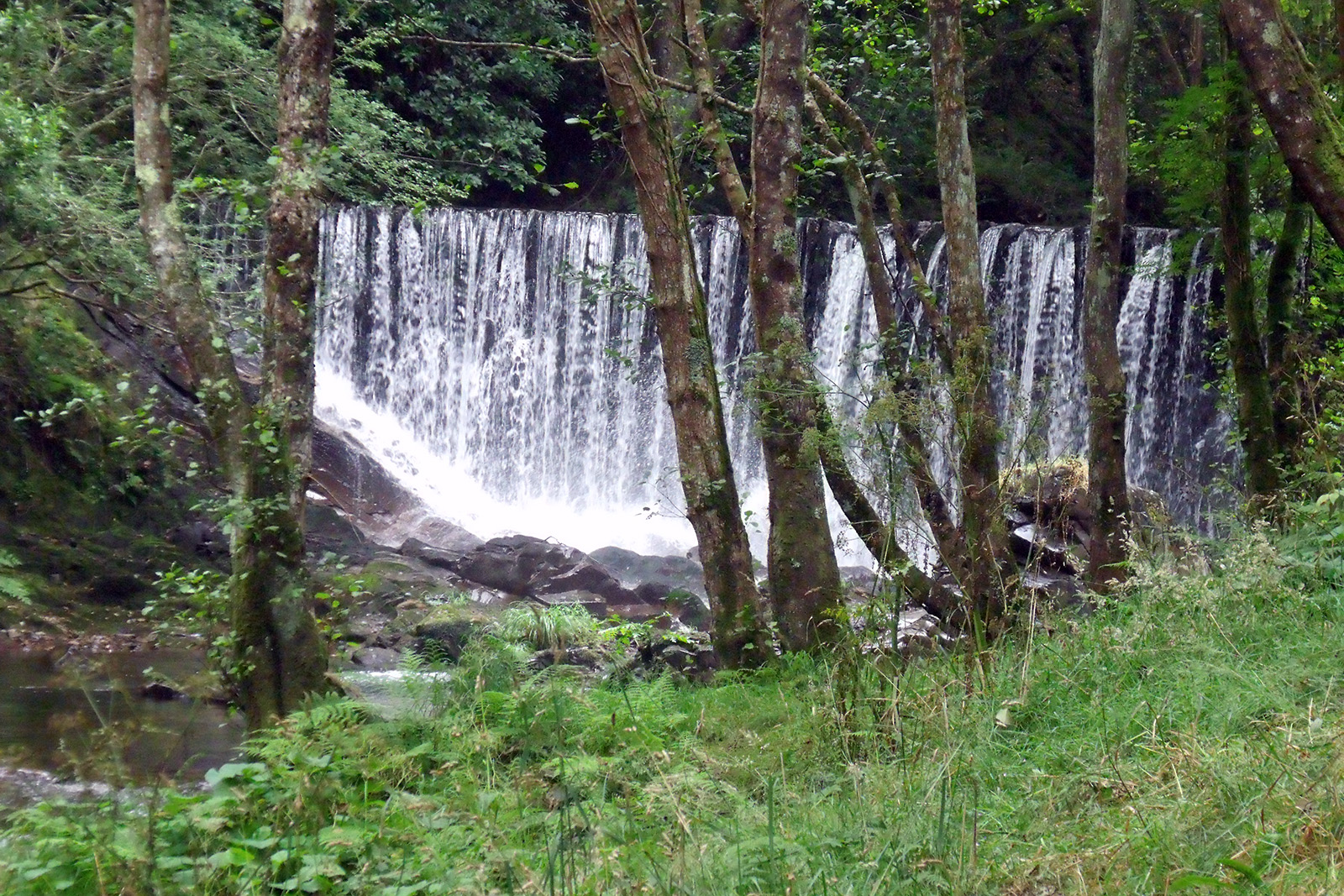 oscos-presa-en-el-Suaron-.jpg