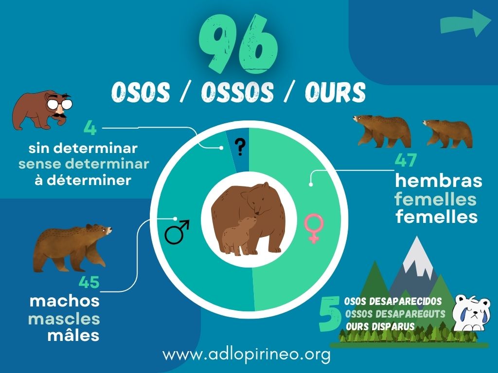 oso